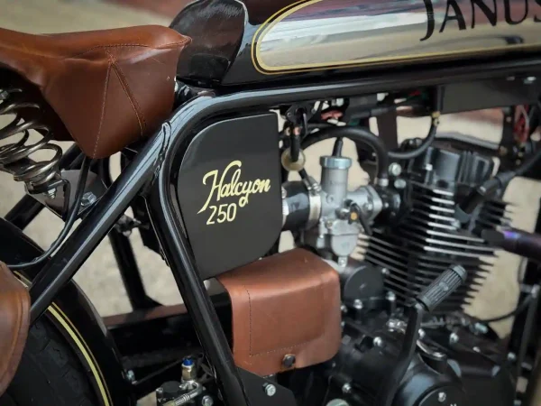 Halcyon 250 #300