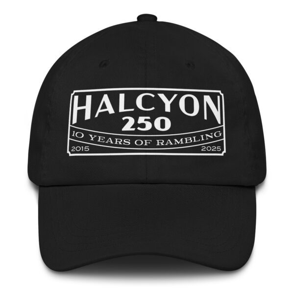 10 Year Anniversary Hat