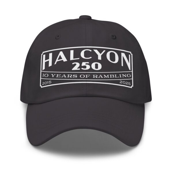 10 Year Anniversary Hat