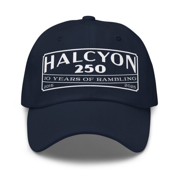 10 Year Anniversary Hat