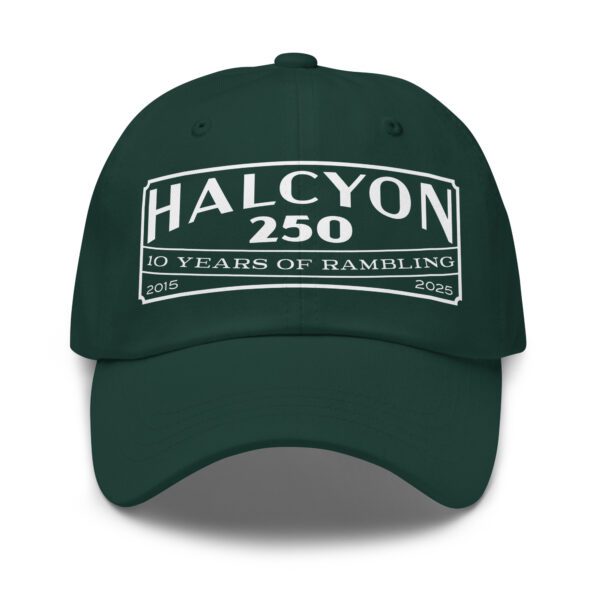 10 Year Anniversary Hat